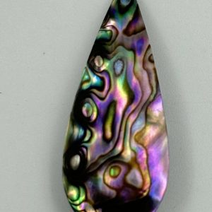 Abalone Shell