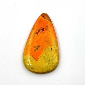 Bumble Bee Jasper