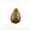 Moroccan Fossil With Drill(1mm.) Hole