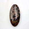 Honey Dendrite Agate