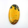 Bumble Bee Jasper