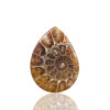 Ammonite Fossil Pear Gemstone Size 45x28x05MM KG9634