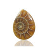 Ammonite Fossil Pear Gemstone Size 44x32x05MM KG9636