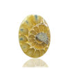 Ammonite Fossil Oval Gemstone Size 43x31x04MM KG9639