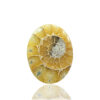 Ammonite Fossil Oval Gemstone Size 43x31x04MM KG9641