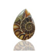 Ammonite Fossil Pear Gemstone Size 40x28x05MM KG9644