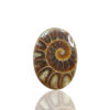 Ammonite Fossil Oval Gemstone Size 35x25x08MM KG9645