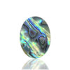 Abalone Shell Oval Gemstone Size 32x23x06MM KG9673